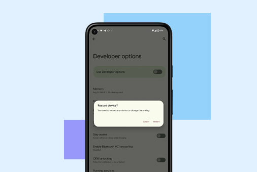 how to enable developer options